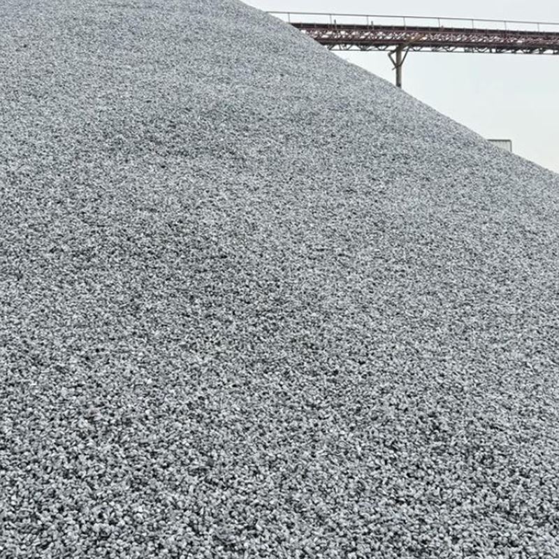 Pols de carbonat de calci per a gossos